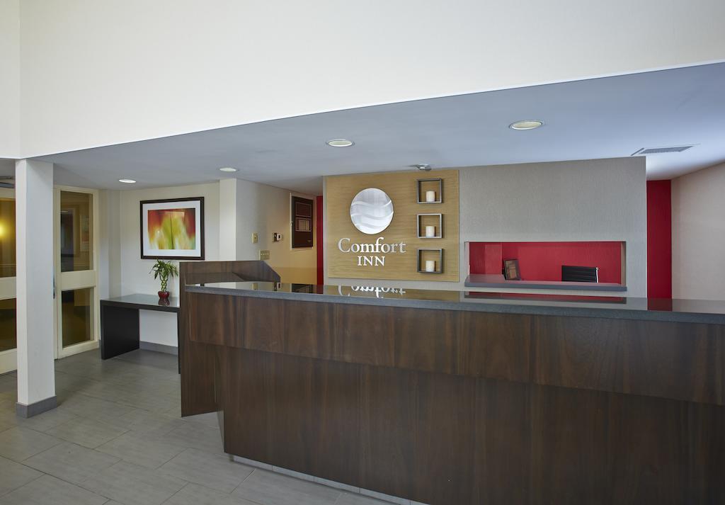 Comfort Inn Едмундстон Екстер'єр фото